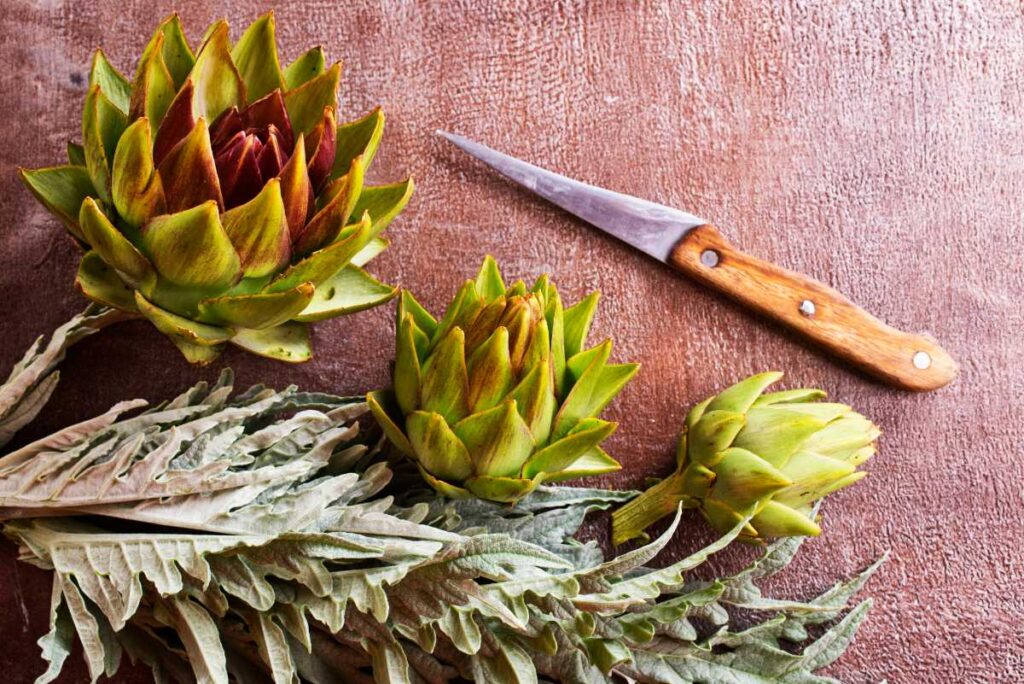 Des artichauts frais posés à côté d'un couteau