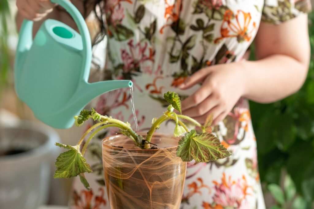Une femme qui verse de l'eau dans un verre d'eau avec une vigne