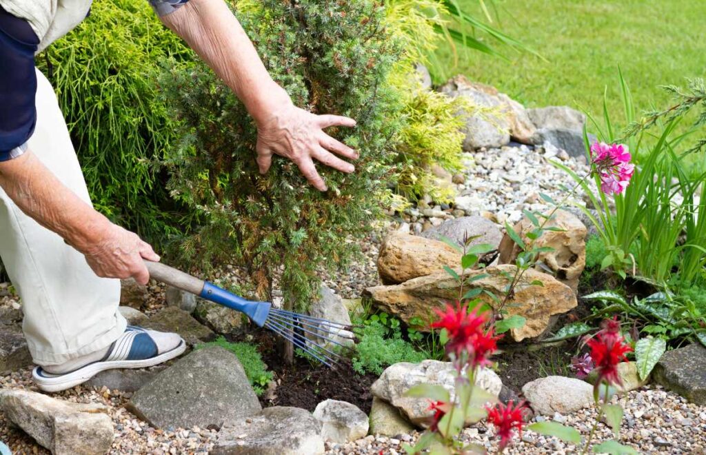 Une personne qui s'occupe des plantes dans le jardin