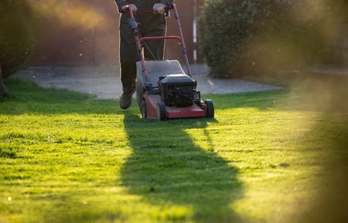 Un jardinier qui tond du gazon