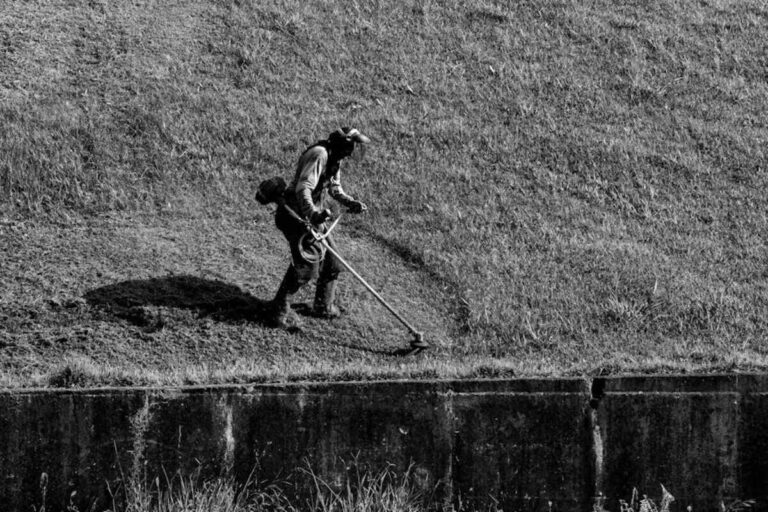 Jardinier entretien un jardin tendance