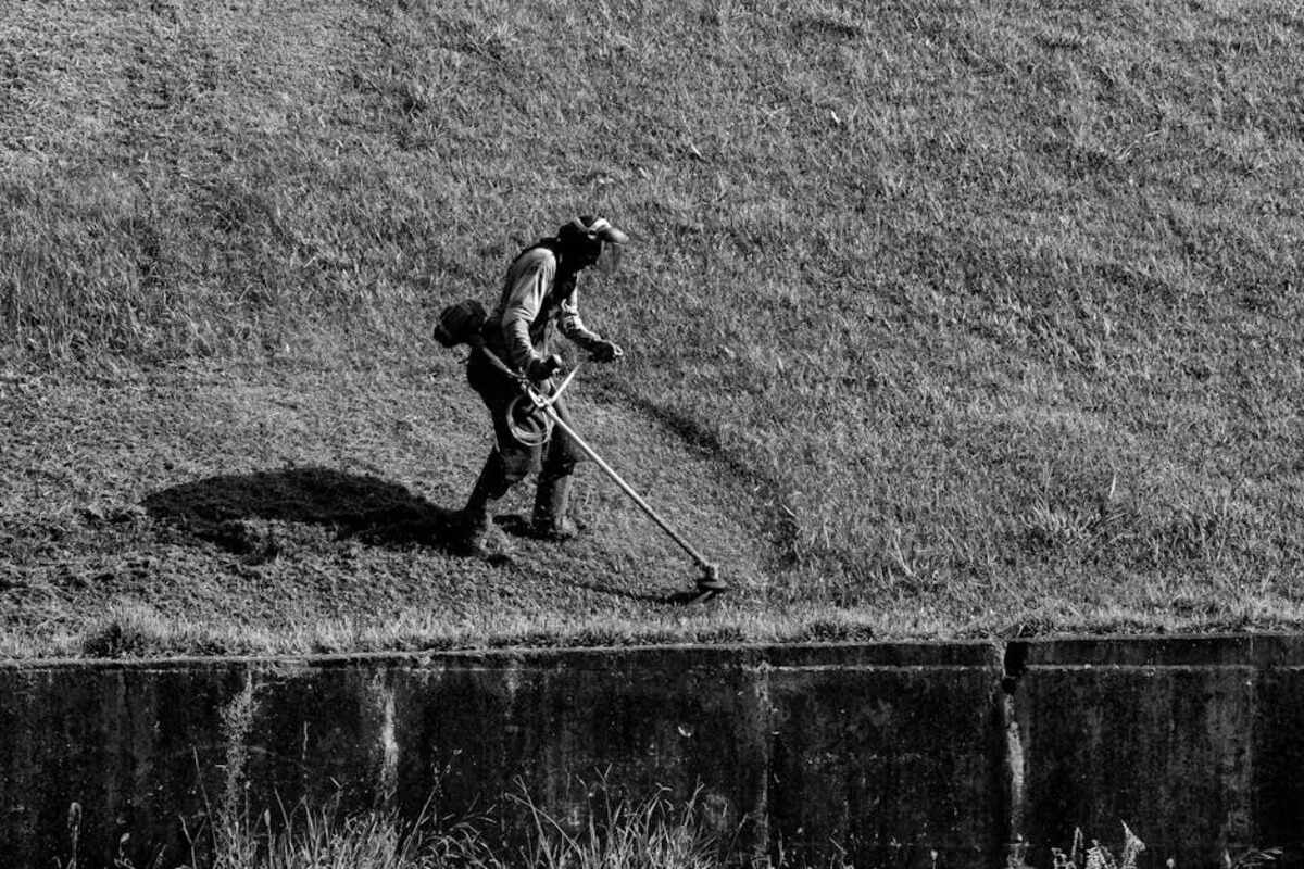 Jardinier entretien un jardin tendance