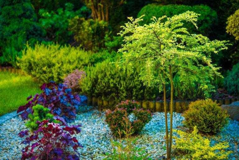 Un beau jardin avec des différentes plantes