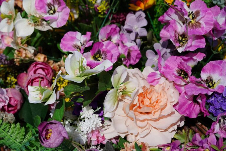 Des fleurs colorées en pleine floraison