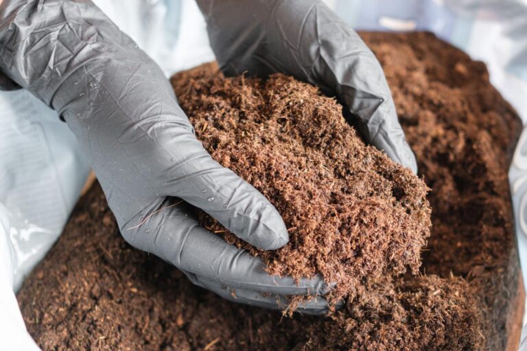 Des mains tenant de la terre pour le compost