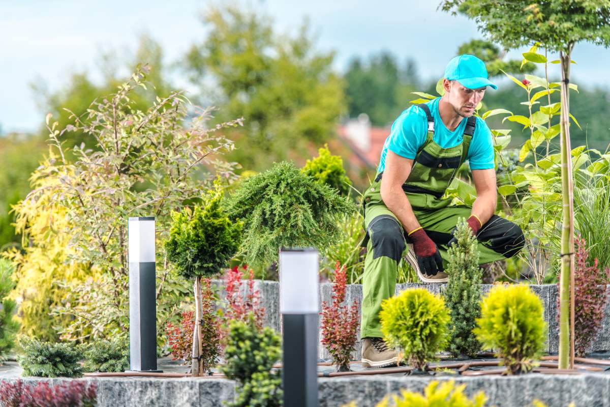 Un paysagiste professionnel qui regarde les plantes dans le jardin
