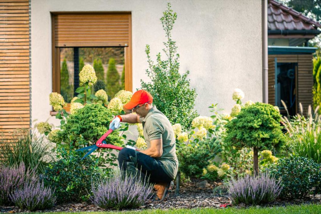 Un paysagiste qui taille les arbustes et les fleurs dans un jardin