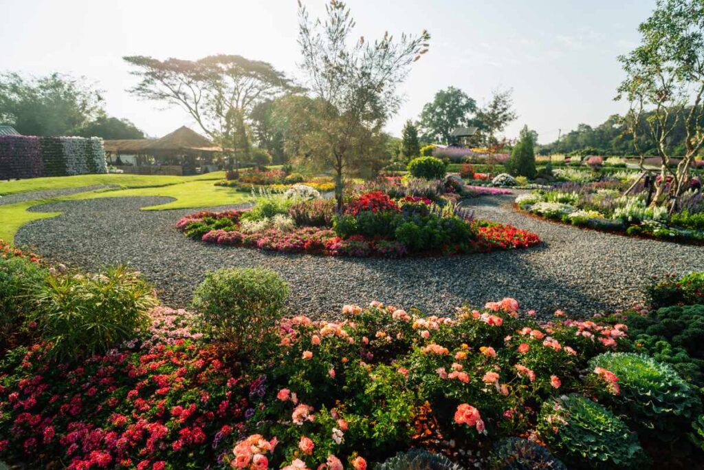 Un beau jardin avec des différentes plantes vivaces
