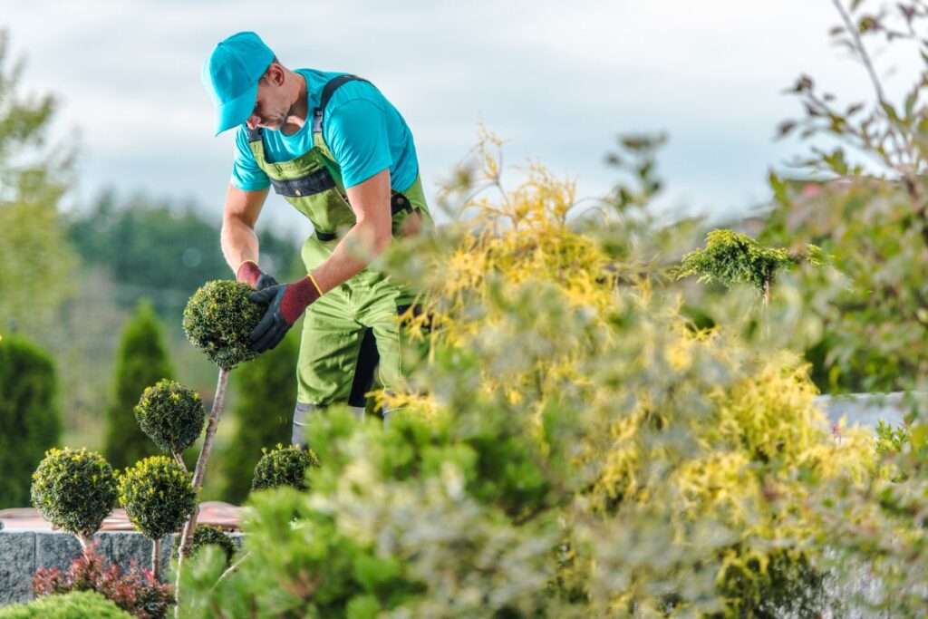 Un jardinier faisant de l'entretien pour des plantes