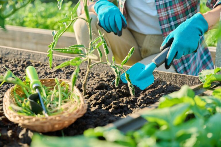 Mains gantées tenant une pelle dans le potager
