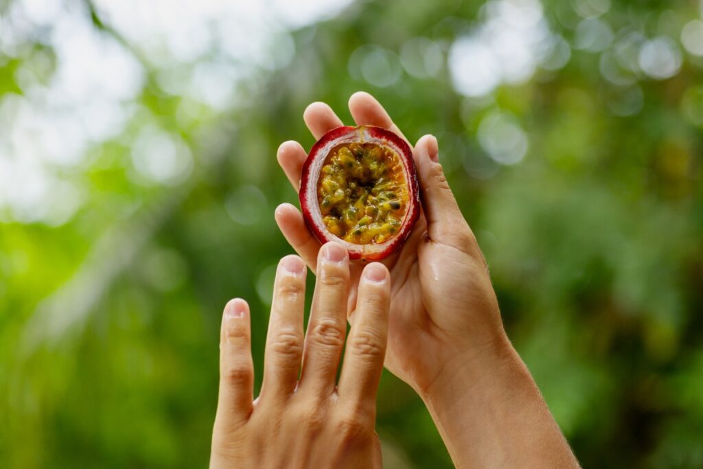 Une personne tenant un fruit de la passion mûr