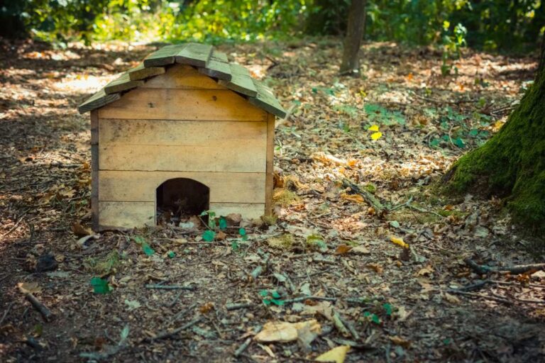 Un petit abri de hérisson en bois