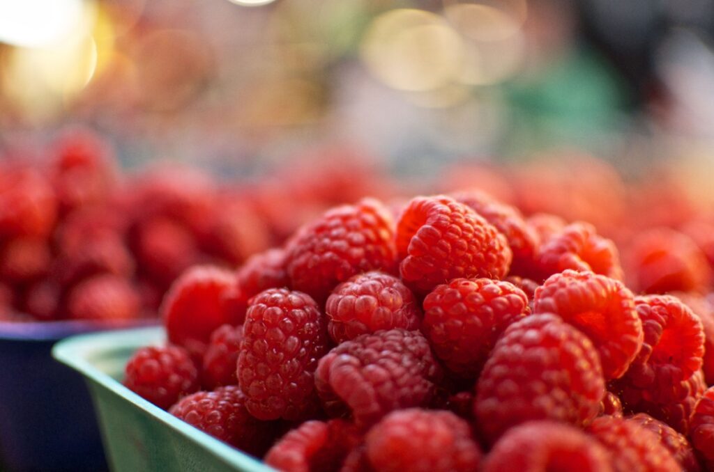 Des framboises fraîches et mûres dans un plateau