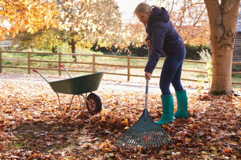 Un homme ratissant des feuilles dans le jardin