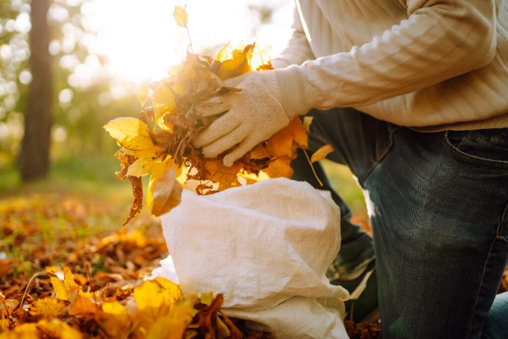Une personne ratissant les feuilles d'automne