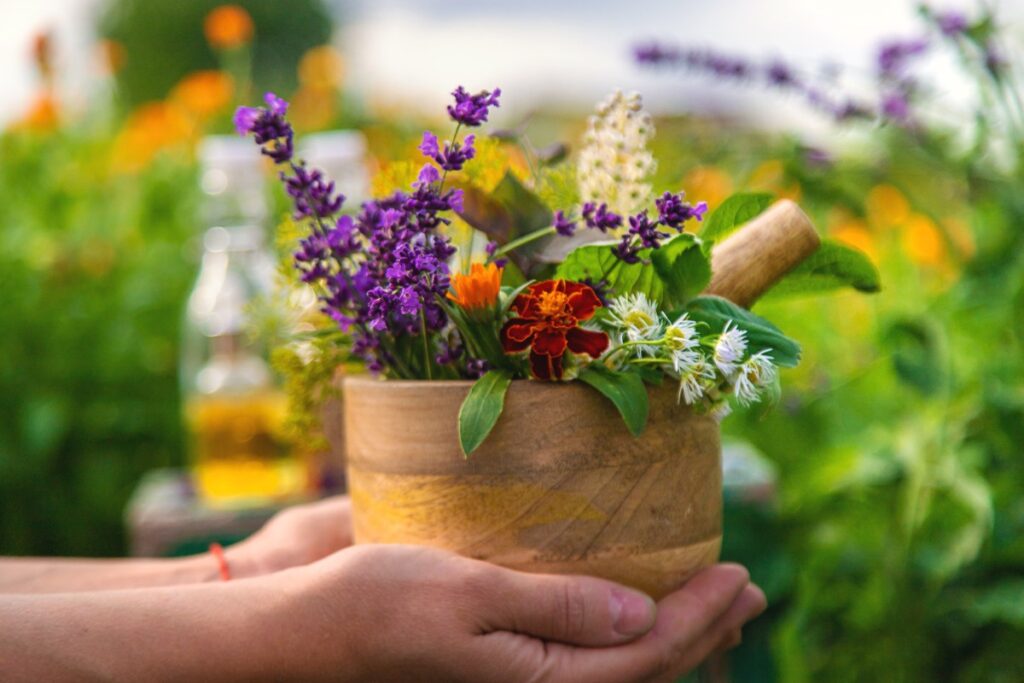 Une personne tenant des fleurs herbacéesa