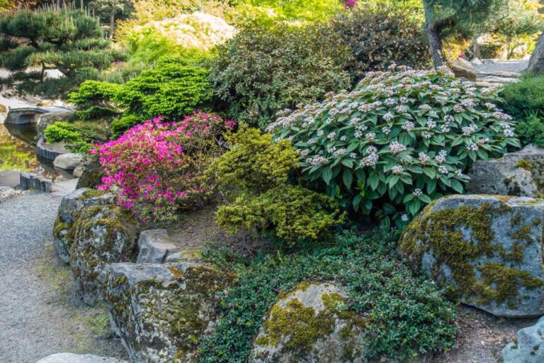 Des fleurs épanouies dans un jardin japonais