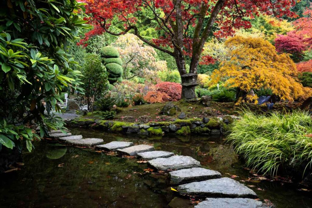 Une allée en pierre au milier d'un jardin japonais