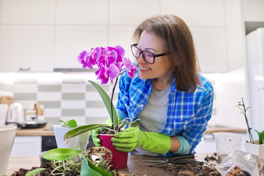 Une femme appréciant ses fleurs d'orchidées