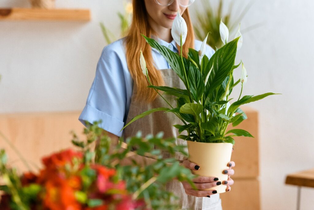 Une femme tenant une plante de spathiphyllum en pot