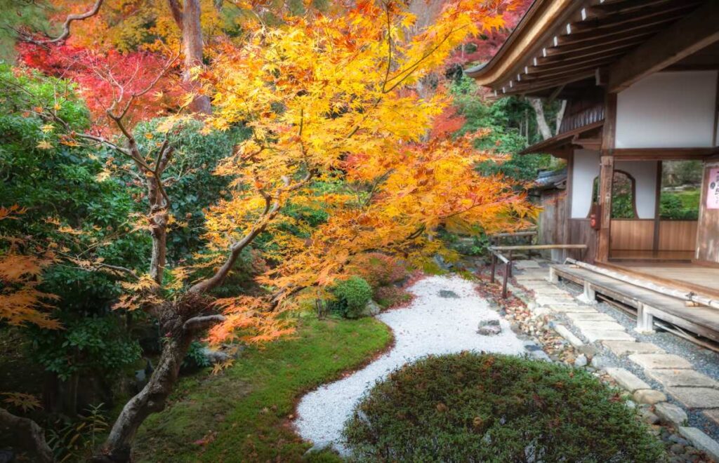 Une maison avec un petit jardin japonais
